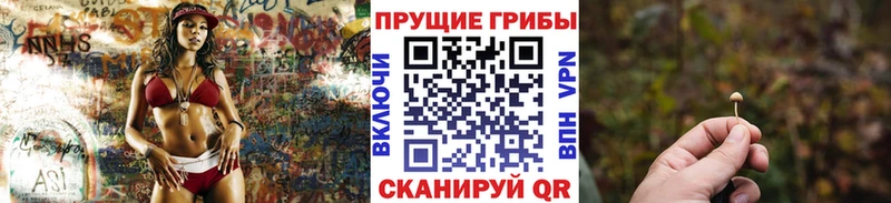 что такое   Осташков  Галлюциногенные грибы MAGIC MUSHROOMS 